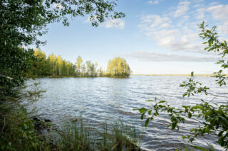 Kuva järven rannan myötäisesti kohti Nappasenniemeä. Niemen edustalla näkyy saari.