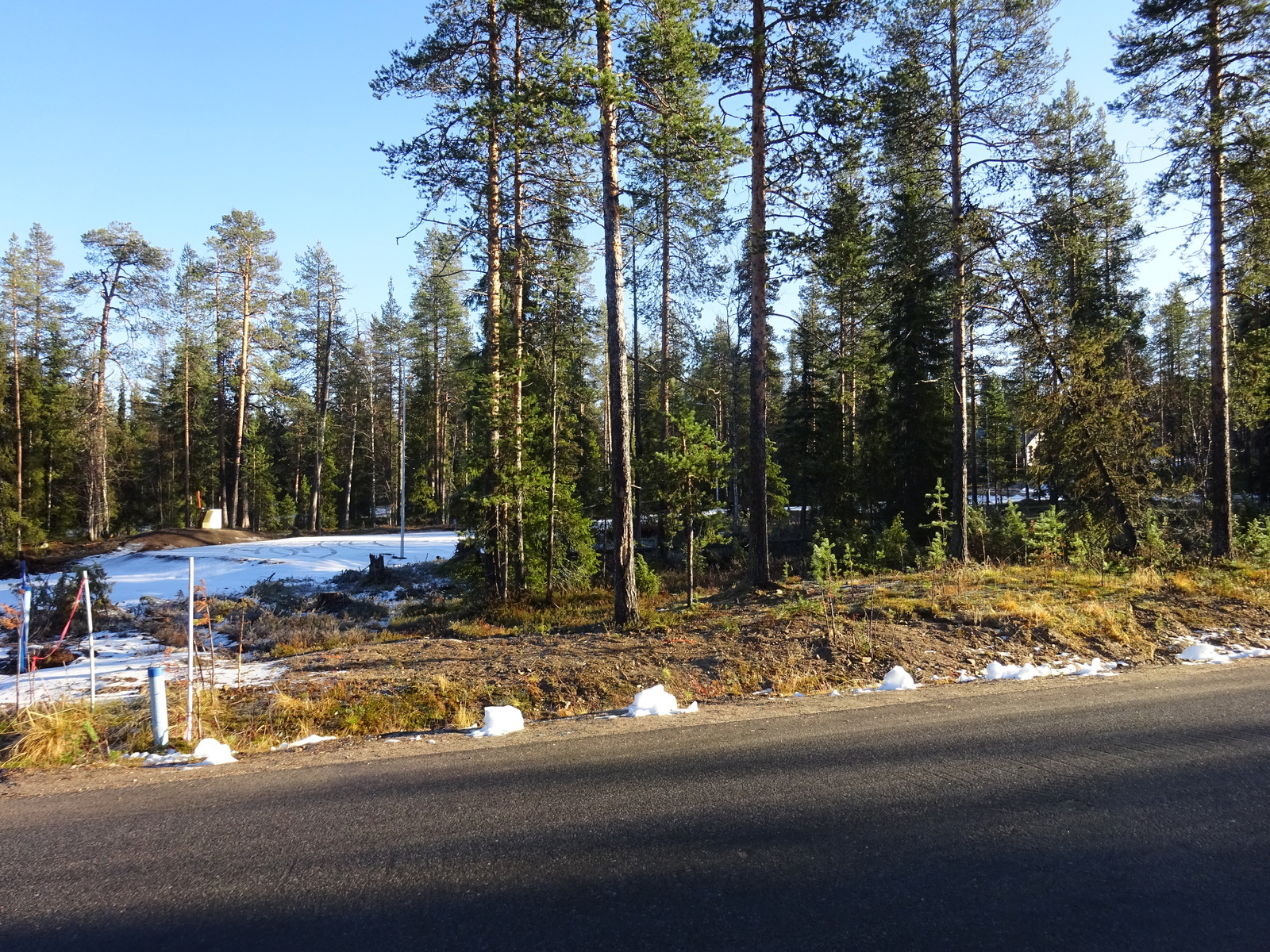 Valokuvassa näkyy mm. tontilla kasvavia puita ja muuta kasvillisuutta.