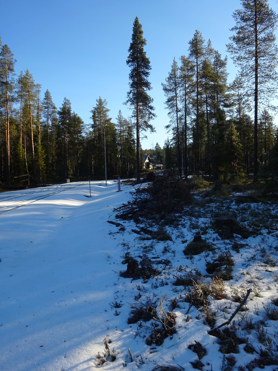 Valokuvassa näkyy mm. tontilla kasvavia puita ja muuta kasvillisuutta.